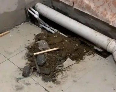 玉屏卫生间漏水检测哪家好